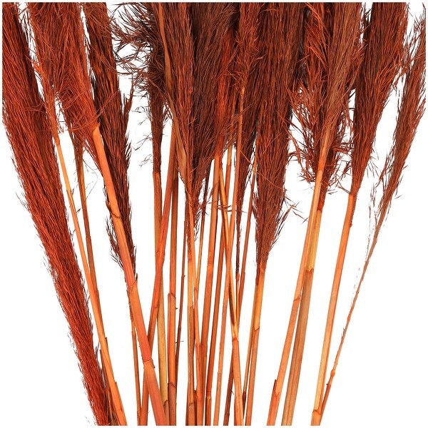 Orange Dried Plant Tall Pampas Grass Home Decor Natural Foliage