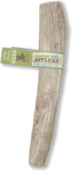 Prairie Dog Split Deer Antler Dog Chews