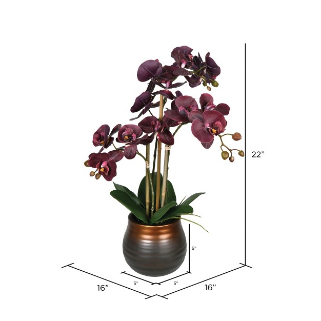 Potted Real Touch Phalaenopsis