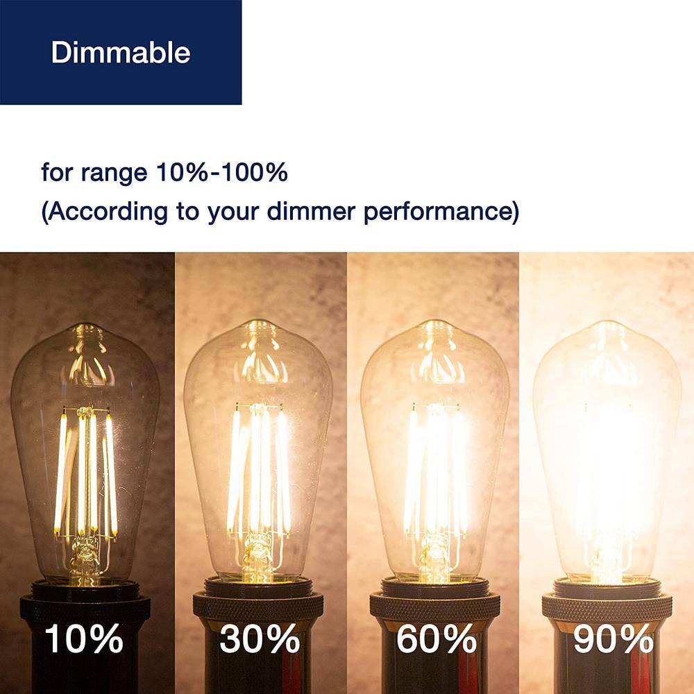 FLSNT 100-Watt Equivalent ST19 Dimmable LED Straight Filament bulb Vintage Edison Bulbs E26 Base 2700K Soft White (6-Pack) DSST1975FIL-CL27-6-F