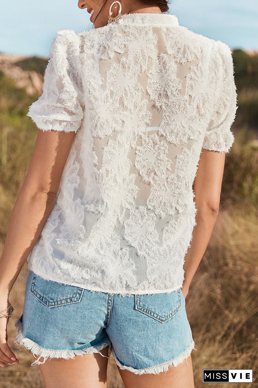 Lace Sheer V Neck Short Sleeves Shirt