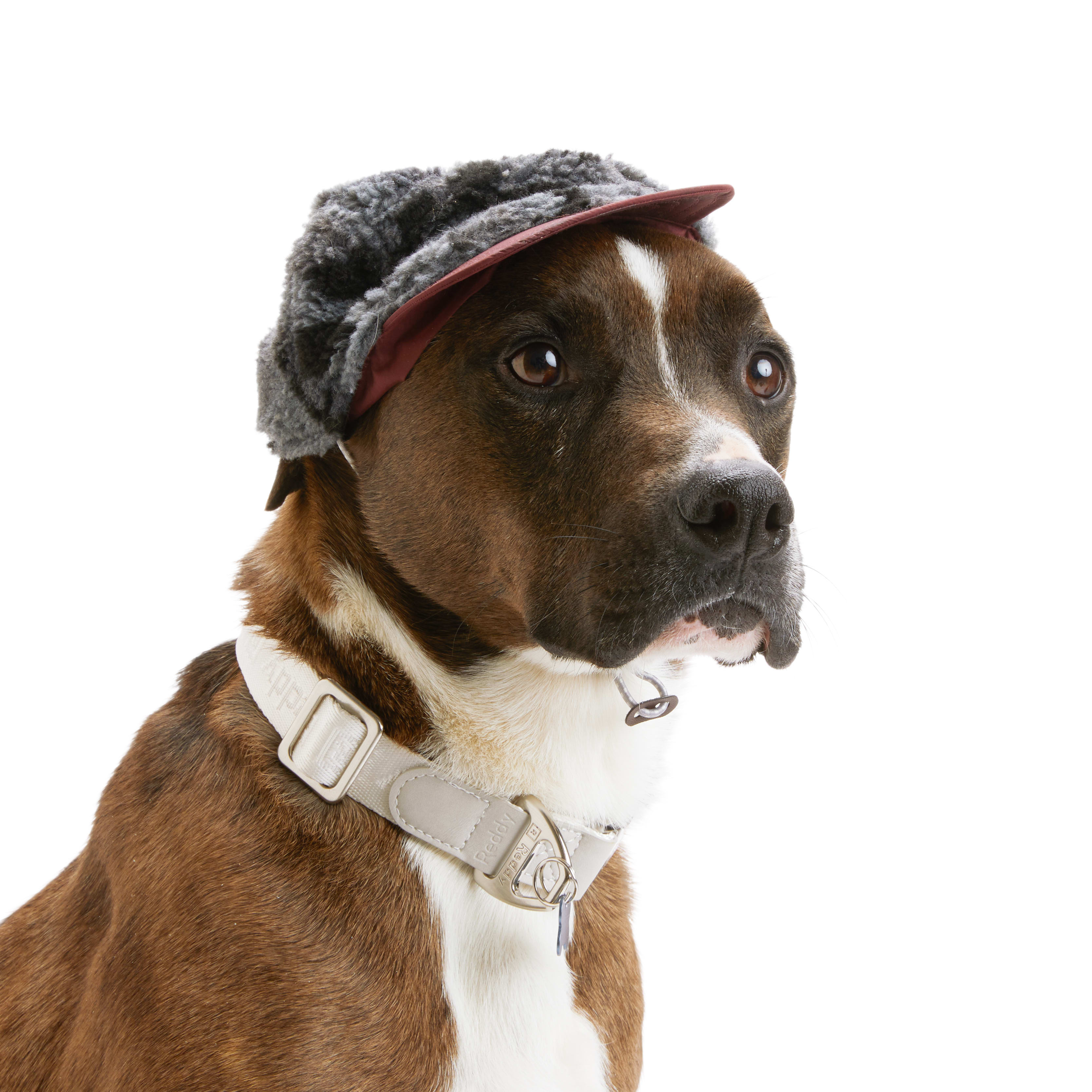 Reddy Sherpa Dog Hat， X-Small/Small