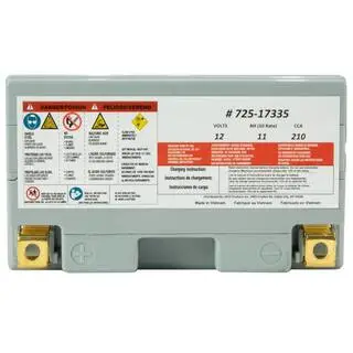 Cub Cadet Replacement 12-Volt 11 Ah 210 CCA Sealed AGM Riding Lawn Mower Battery