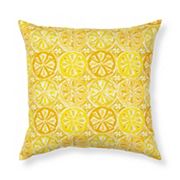 Sonoma Goods For Life? 17 x 17 Outdoor Pillow