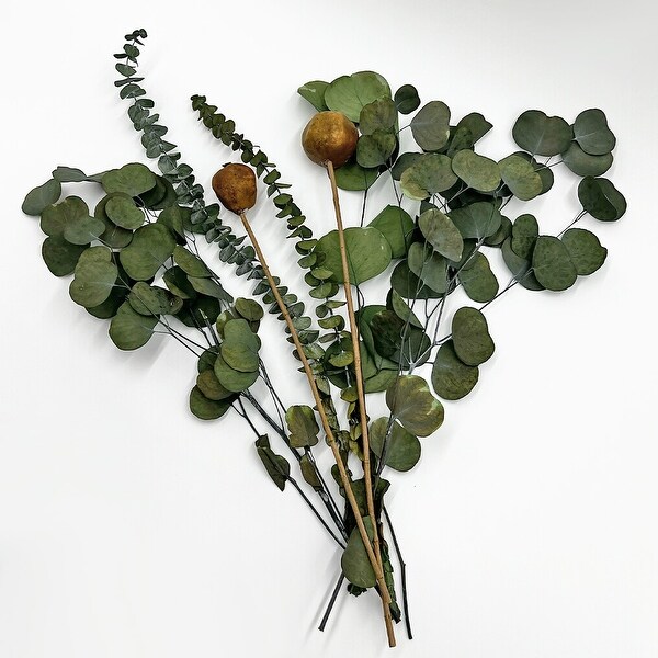 Real Preserved Eucalyptus Mixed Bouquets Mix 12 Med