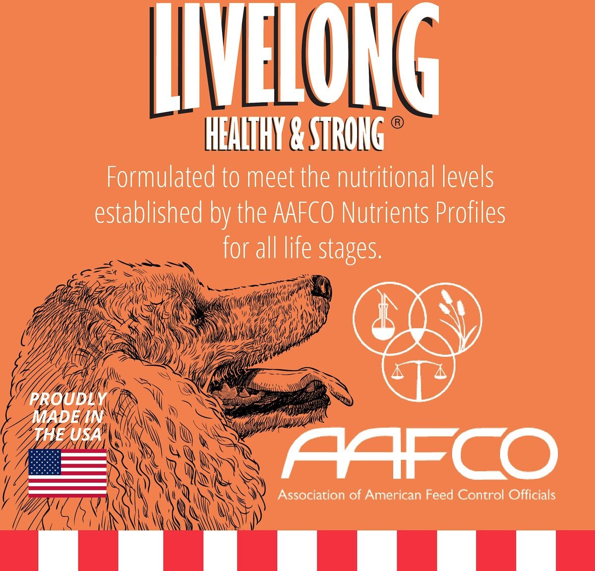 Livelong Healthy and Strong Salmon and Sweet Potato Recipe Wet Dog Food， 12.8-oz can， case of 12