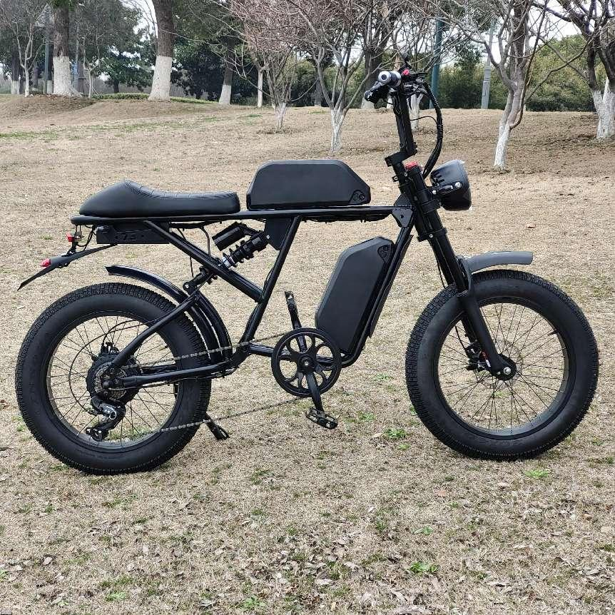 AITAIER super Mini Electric Bike 14 Inch Folding Ebike 25KM/H Electric Bicycle With Suspension Cycling E BIKE 73