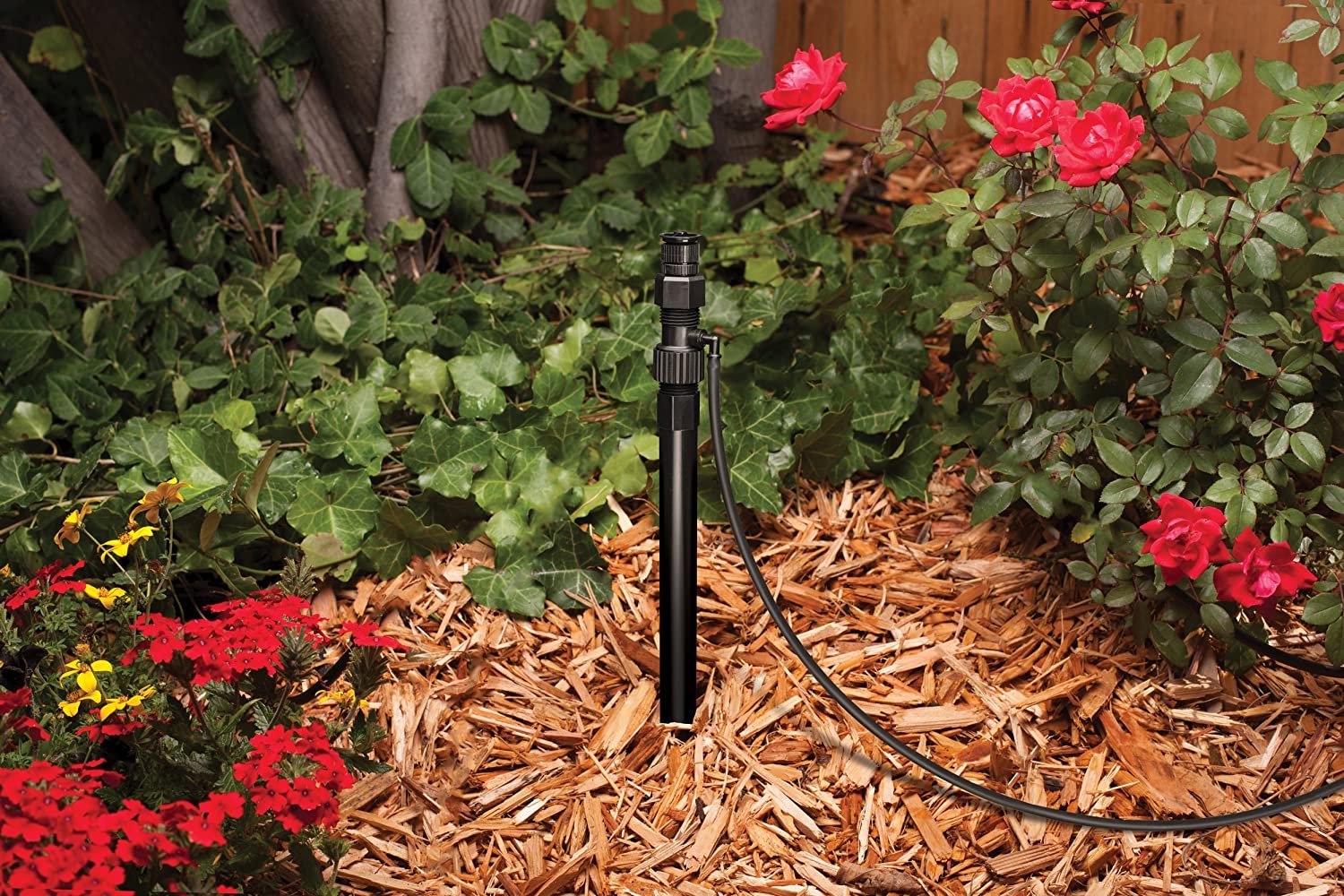 Rain Bird RISMAN1S Drip Irrigation Riser Adapter Drip and Sprinkler Watering， 1/2