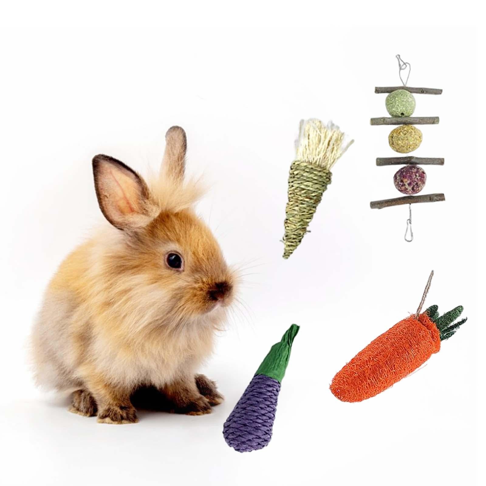 4x Rabbit Chew Toys Sticks Cage Hanging Radish Molar Bunny