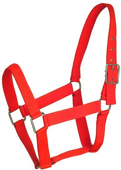 Gatsby Nylon Horse Halter