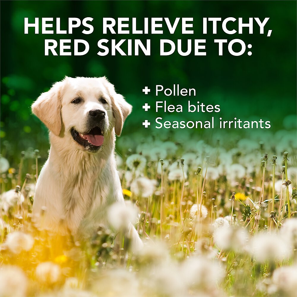 Vet's Best Allergy Itch Relief Shampoo for Dogs