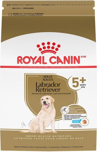 Royal Canin Breed Health Nutrition Labrador Retriever Adult 5+ Dry Dog Food