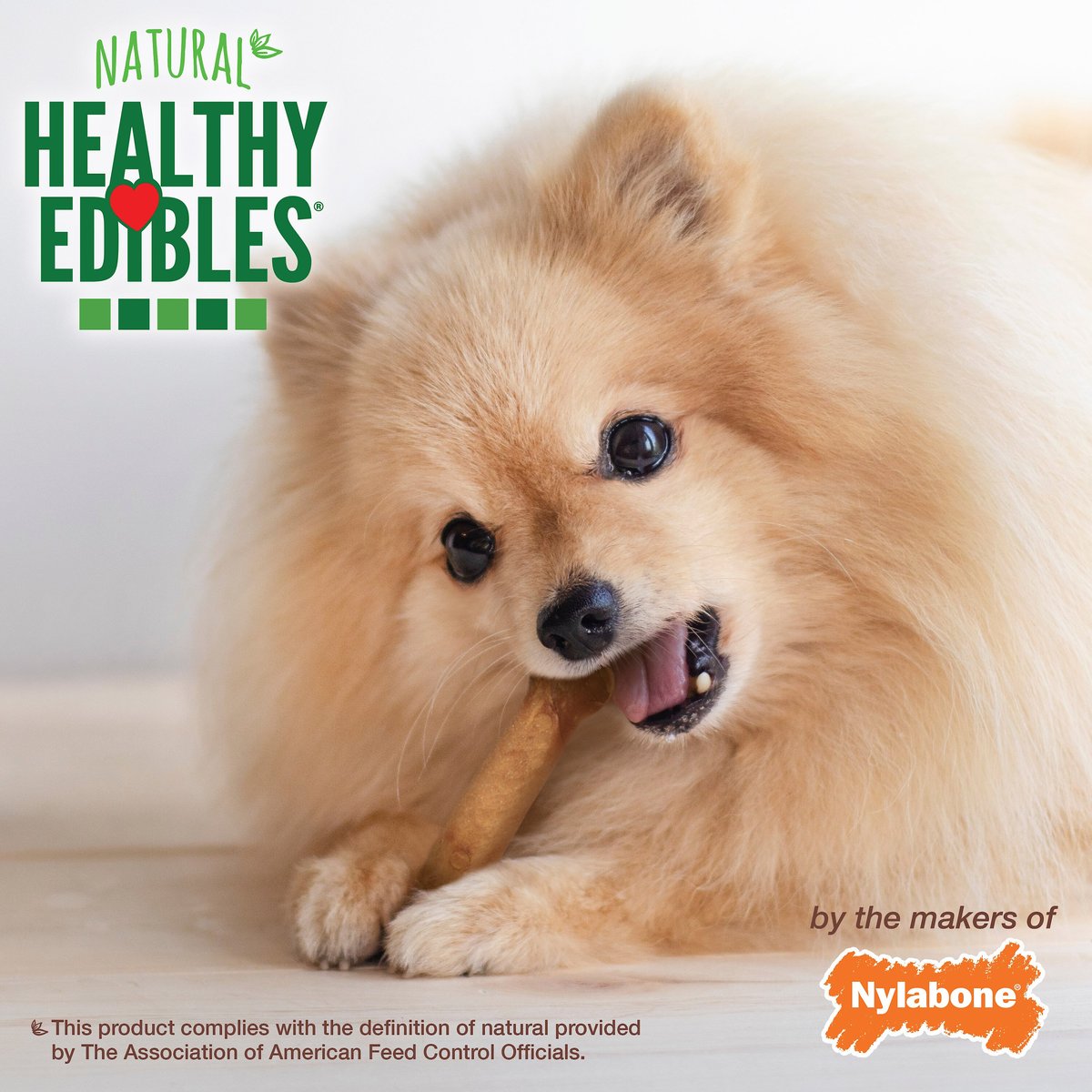 Nylabone Healthy Edibles All-Natural Long Lasting Bacon Flavor Chews Dog Treats， X-Small/Petite