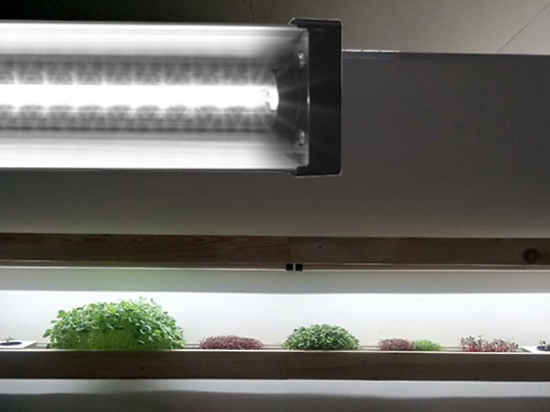 AquaSprouts Horticultural LED Grow Light Bar， 2-ft