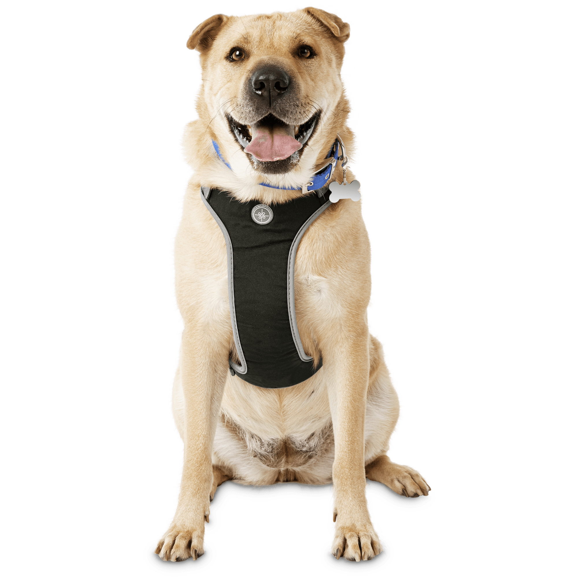 YOULY The Classic Black Harness for Large Dog， X-Large/XX-Large