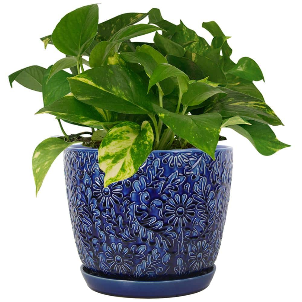 Vigoro 12 in. Lillian Blue Floral Decor Glazed Ceramic Planter (12 in. D x 10.2 in. H) with Drainage Hole and Attached Saucer HUCR02386S-12M