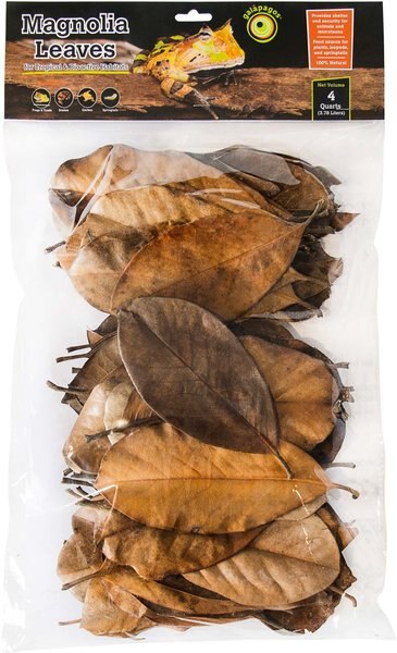 Galapagos Magnolia Terrarium Leaves， 4-qt bag