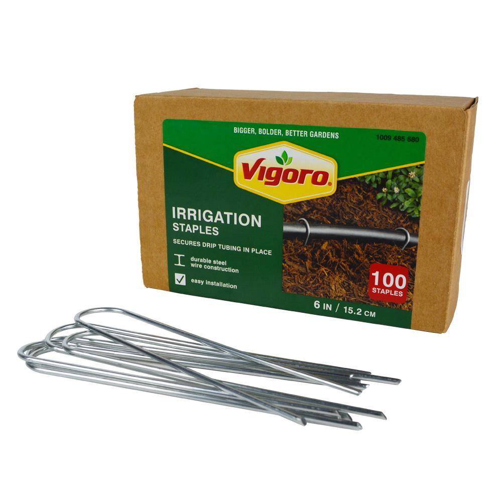 Vigoro 6 in. X 1 in. Galvanized Drip Irrigation Stakes (100-pack) SOD1091RR-100