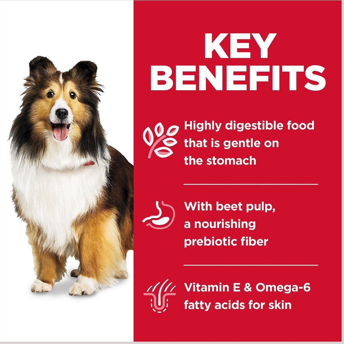 Hill's Science Diet Adult Sensitive Stomach and Skin Grain-Free Salmon and Vegetable Entree Canned Dog Food