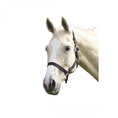 Wessex Horse Headcollar