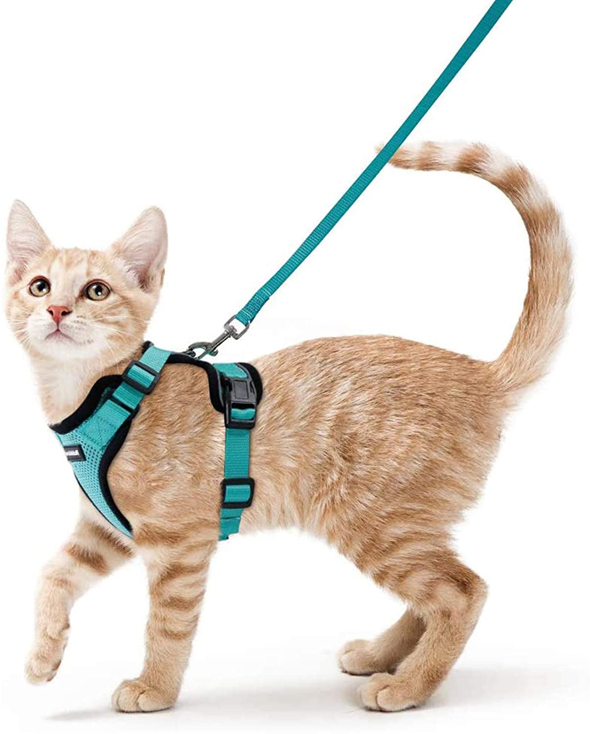 Rabbitgoo Cat Harness and Leash for Walking，Escape Proof Soft Adjustable Vest Harnesses for Cats，Easy Control Breathable Reflective Strips Jacket，Green