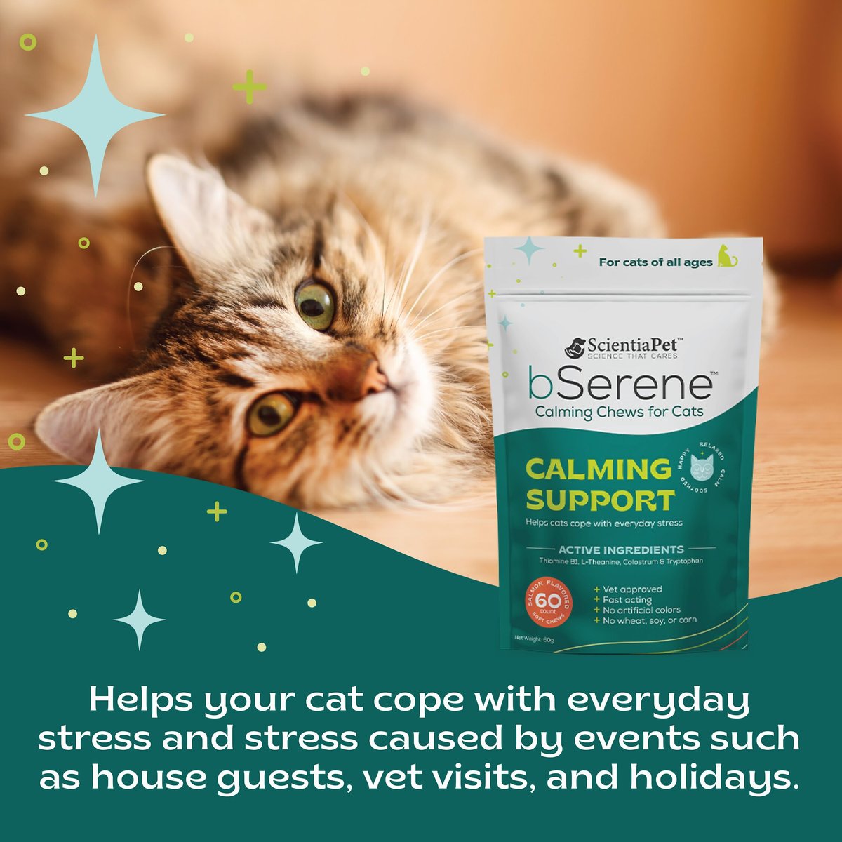 bSerene Salmon Flavored Calming Soft Chew Cat Supplement， 60 count