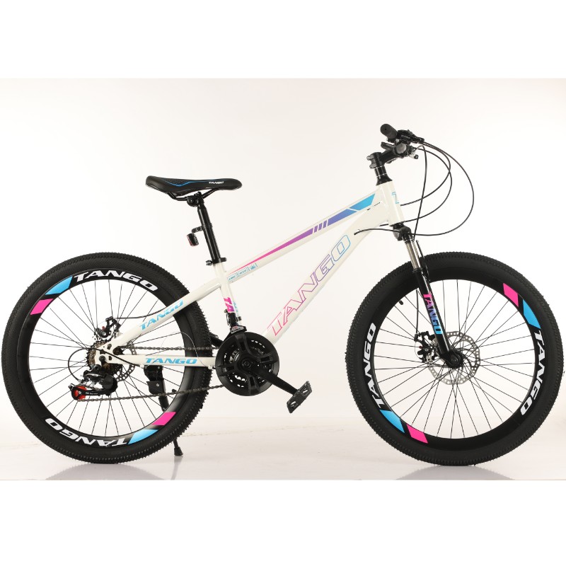 Chinese factory direct sales new mountain bike OEM other bike 26\