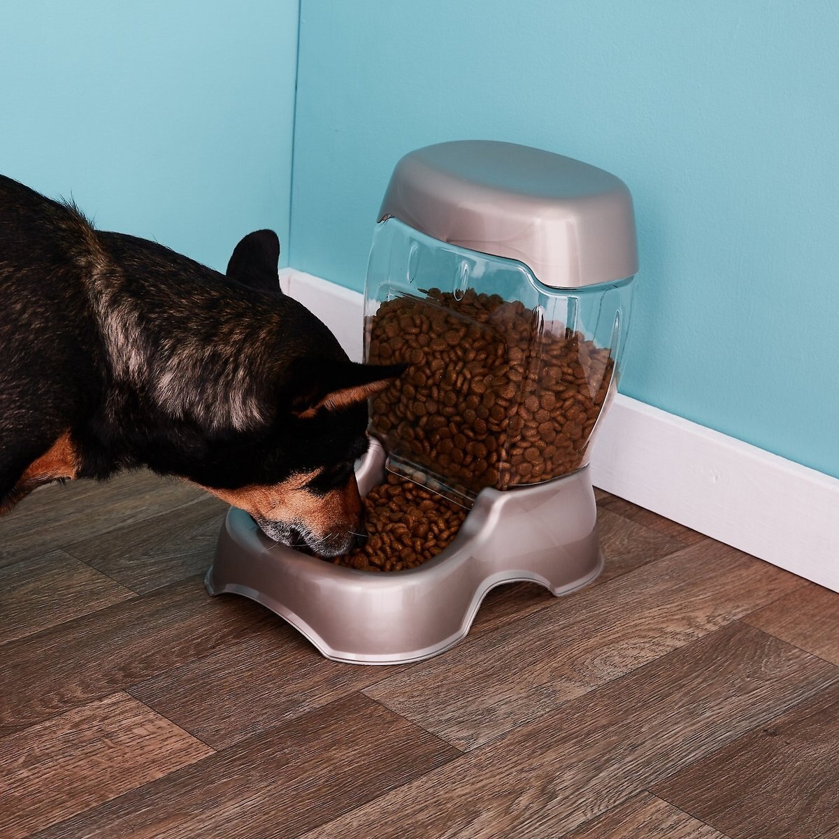 Petmate Pearl Pet Cafe Feeder