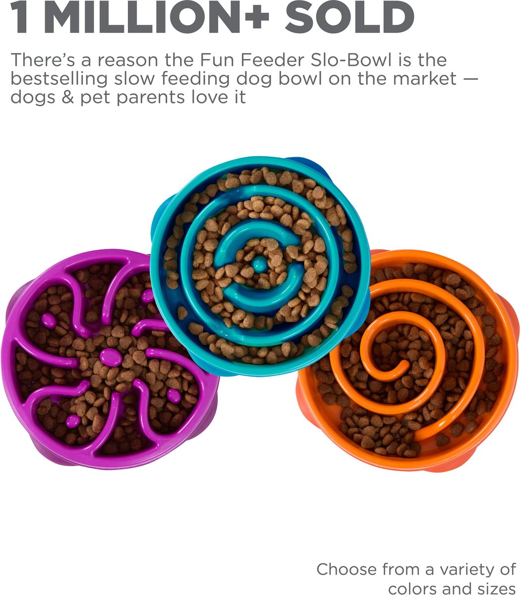 Outward Hound Non-Skid Plastic Slow Feeder Interactive Dog Bowl