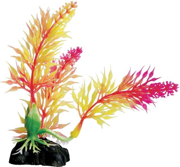 Underwater Treasures Pink Egeria Fish Ornament