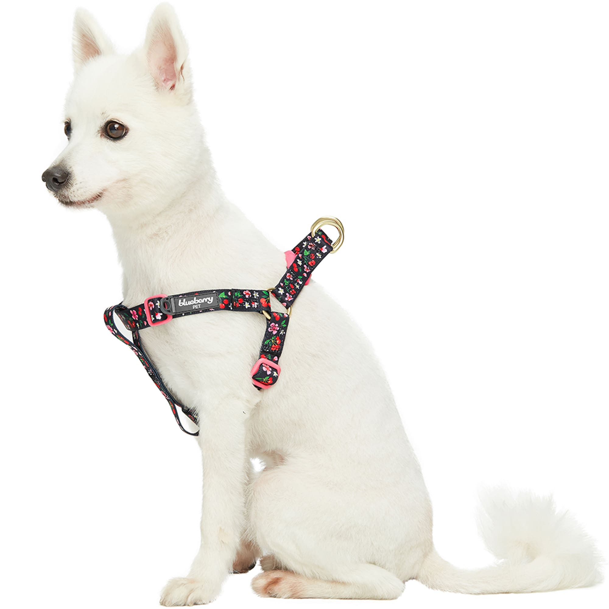 Blueberry Pet Black Cherry Blossom Adjustable Step-in Dog Harness， Small