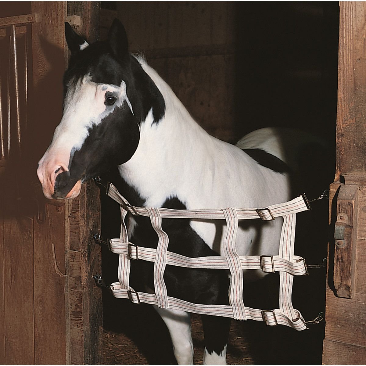 Weaver Leather Horse Stall Guard