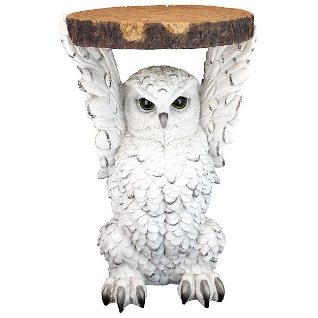 Design Toscano Wisdom Owl Sculptural Side Table