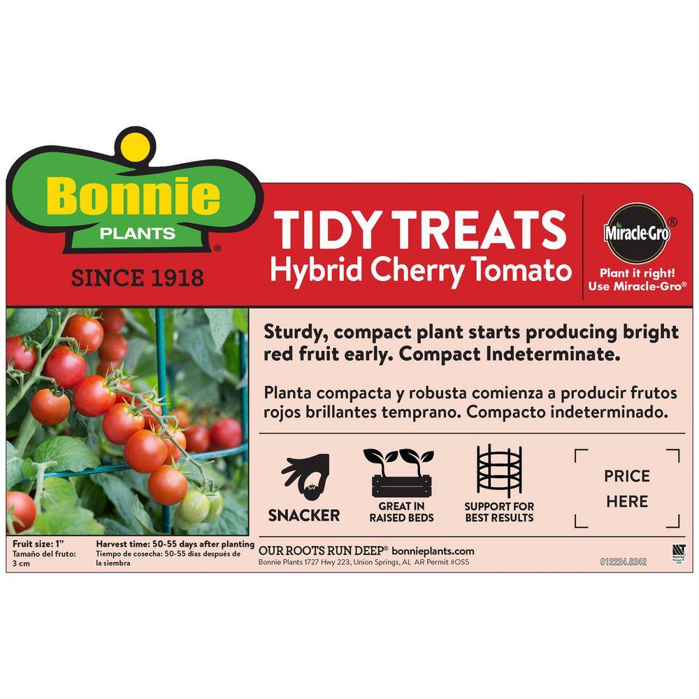 Bonnie Plants 19 oz. Tidy Treats Tomato Plant 0287