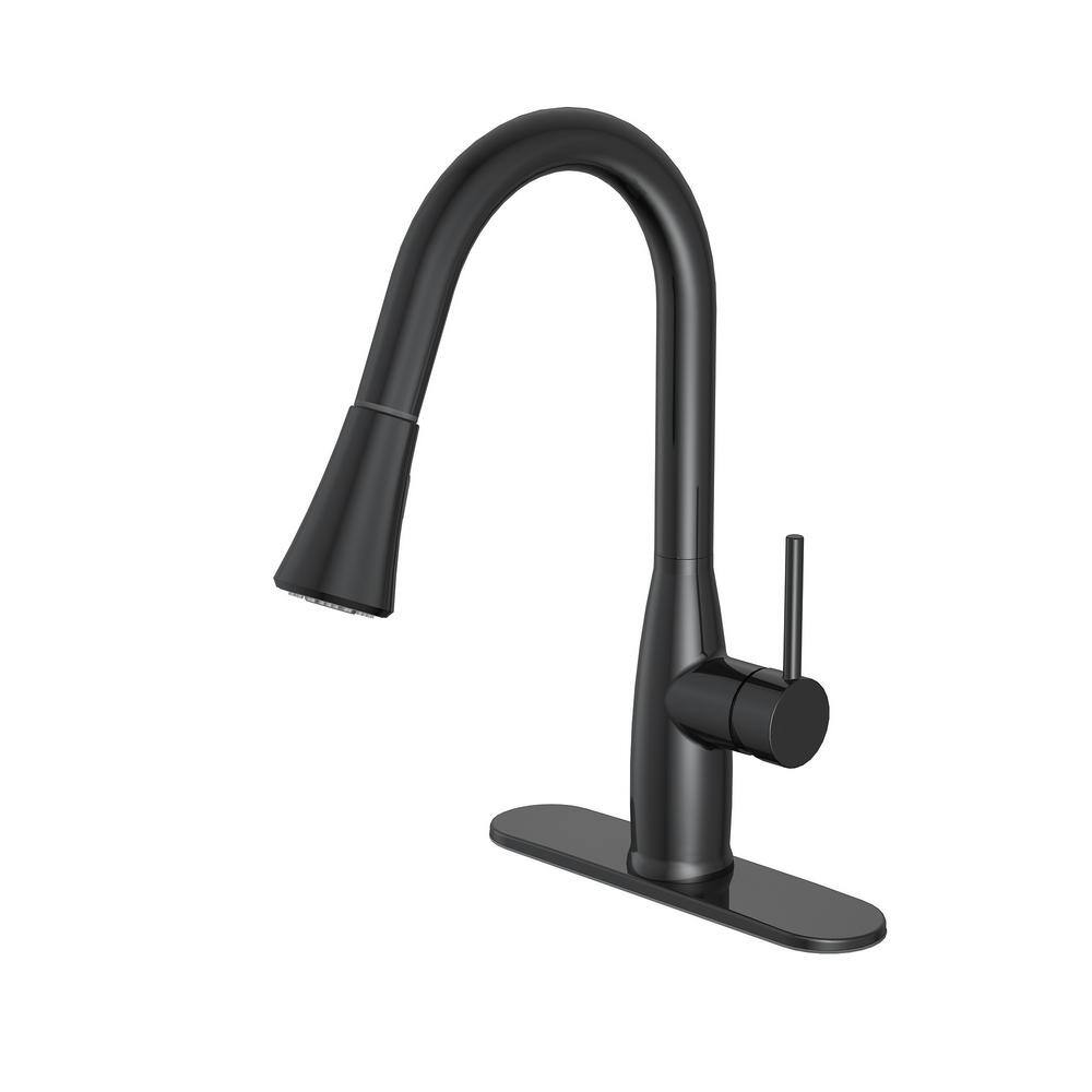 PRIVATE BRAND UNBRANDED Cartway Single-Handle Pull-Down Sprayer Kitchen Faucet in Matte Black D001O