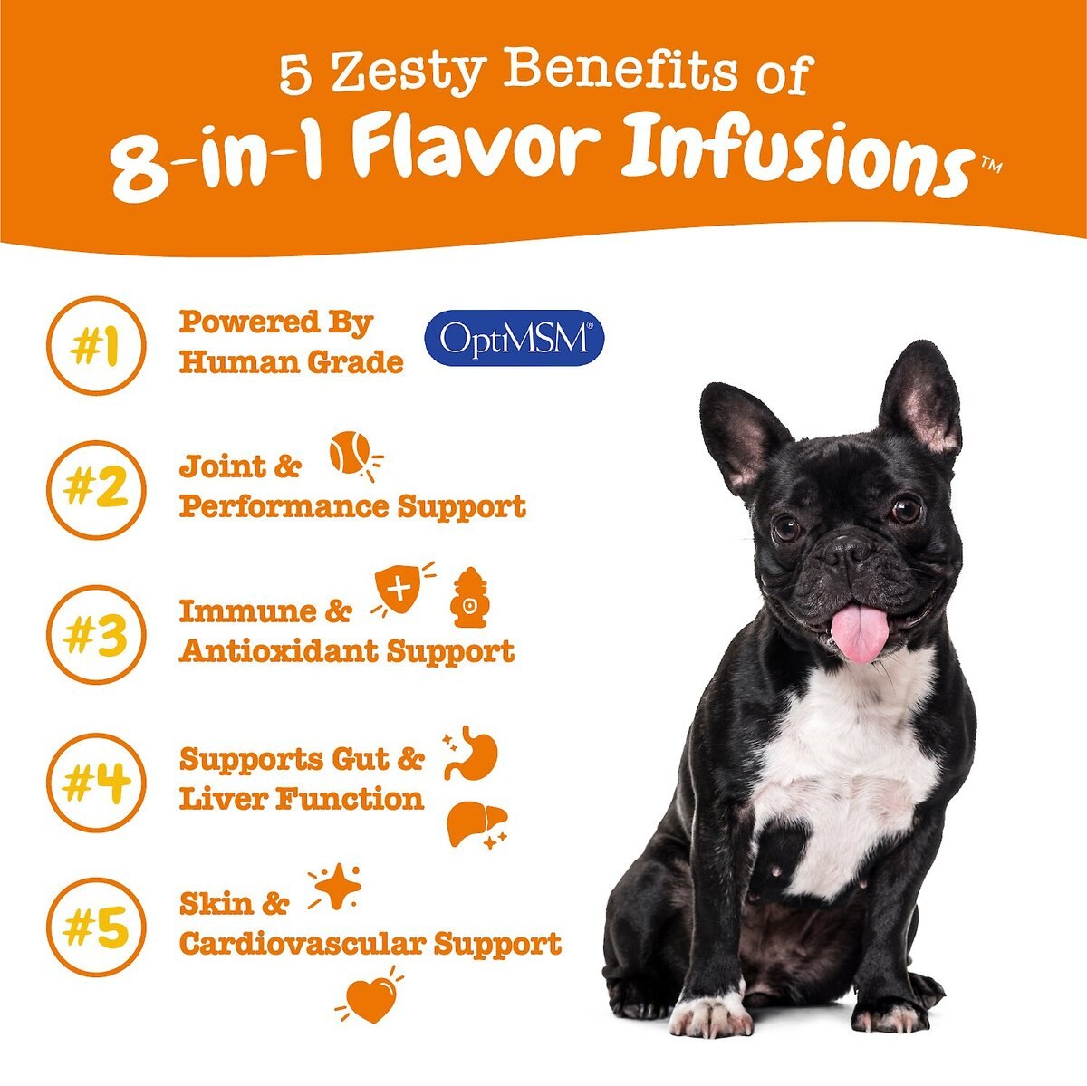 Zesty Paws 8-in-1 Flavor Infusions Chicken Flavored Liquid Multivitamin for Dogs