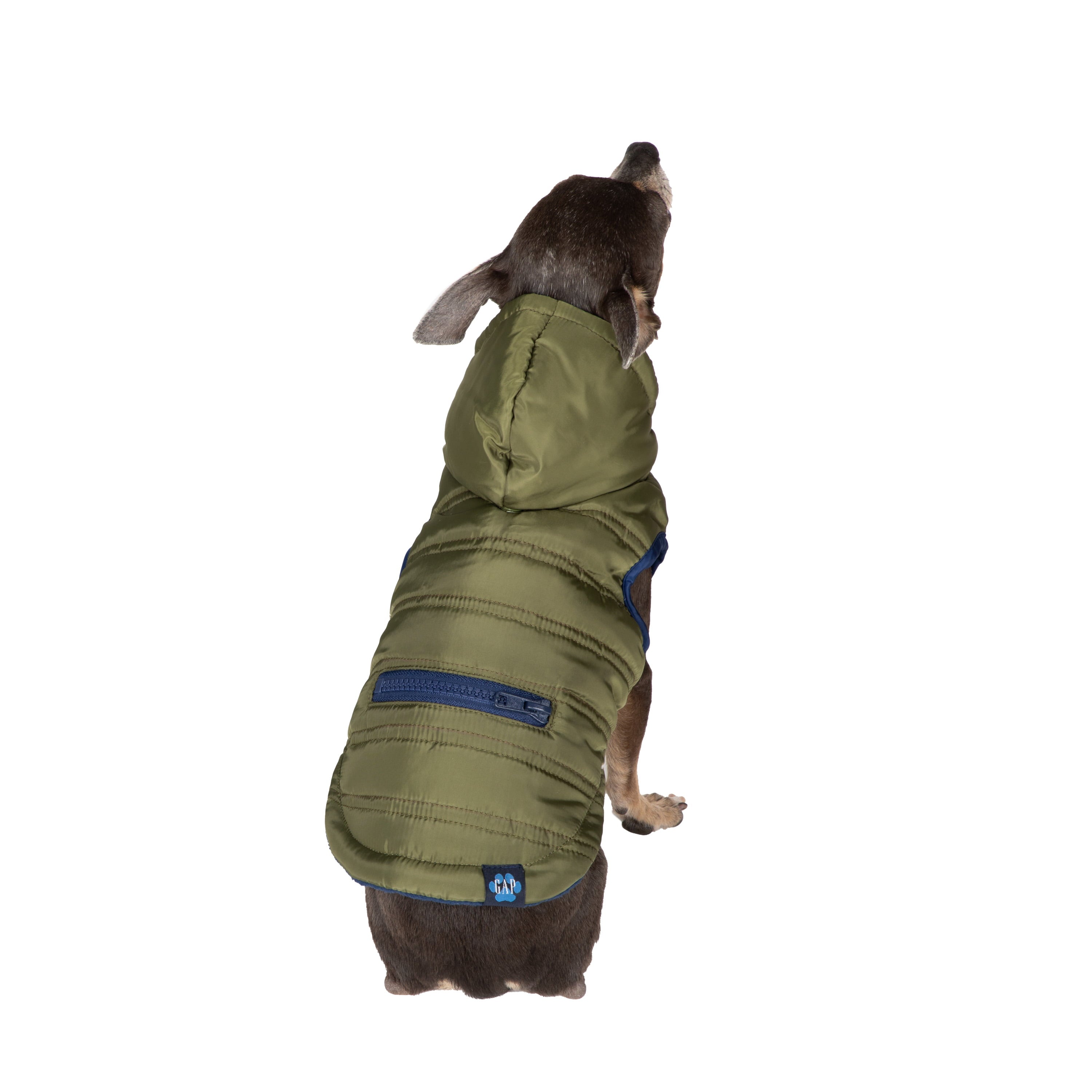 Gap Pet， Dog Clothes， Green Utility Dog Jacket