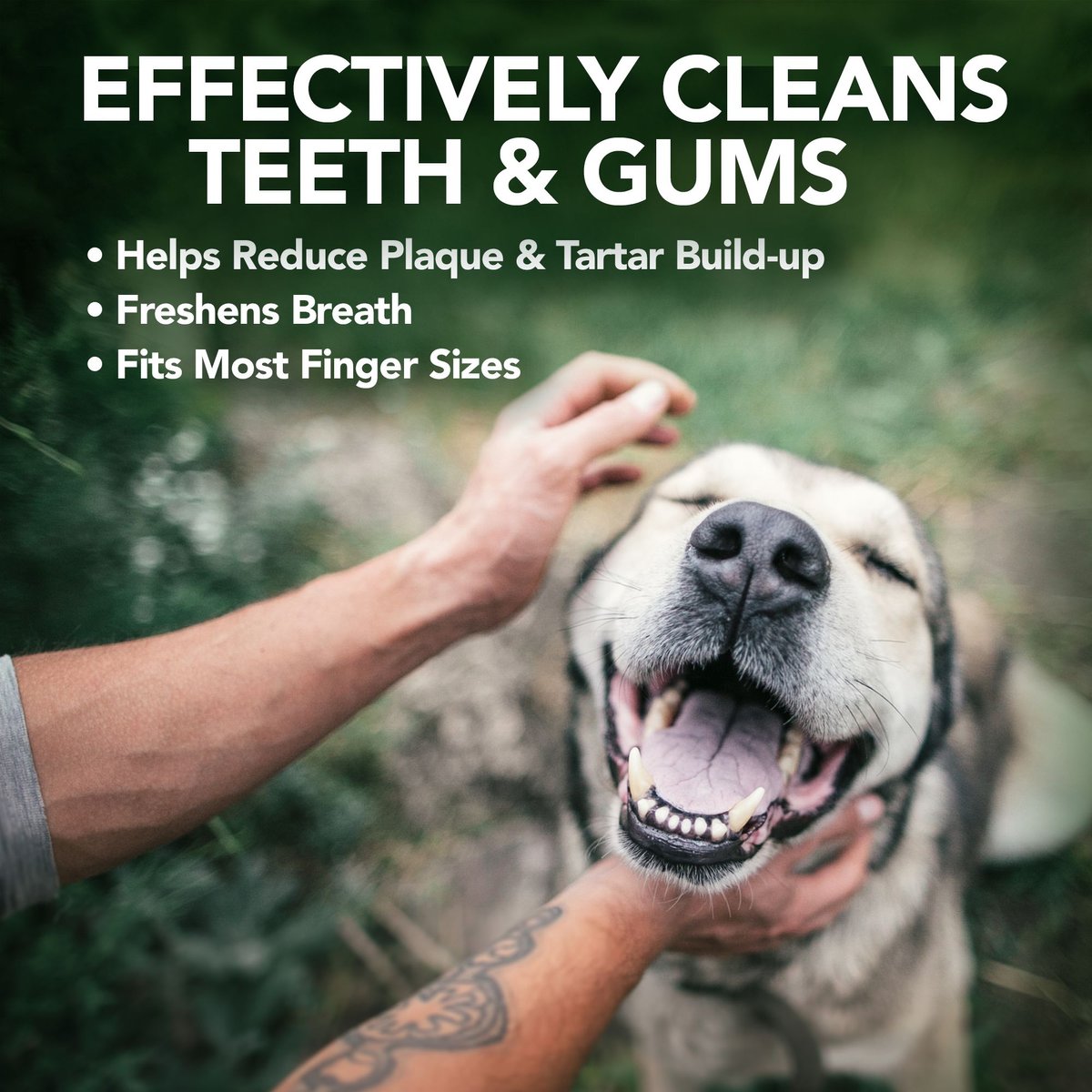 Vet's Best Dental Care Finger Wipes Dog and Cat Dental Wipes