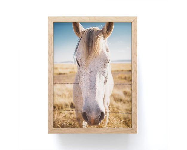 Bethany Young Photography West Texas Wild Framed Mini Art Society6