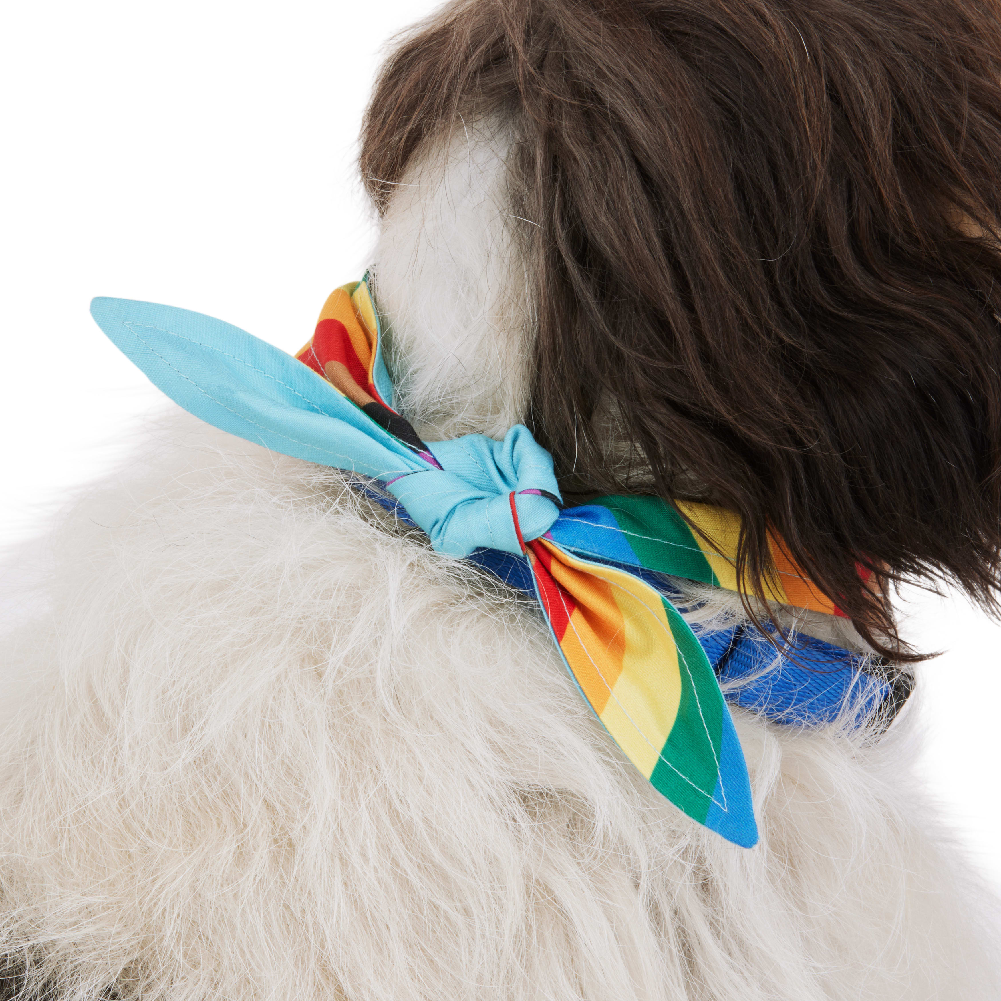 YOULY Pride Flag Reversible Bandana for Dogs， X-Small/Small