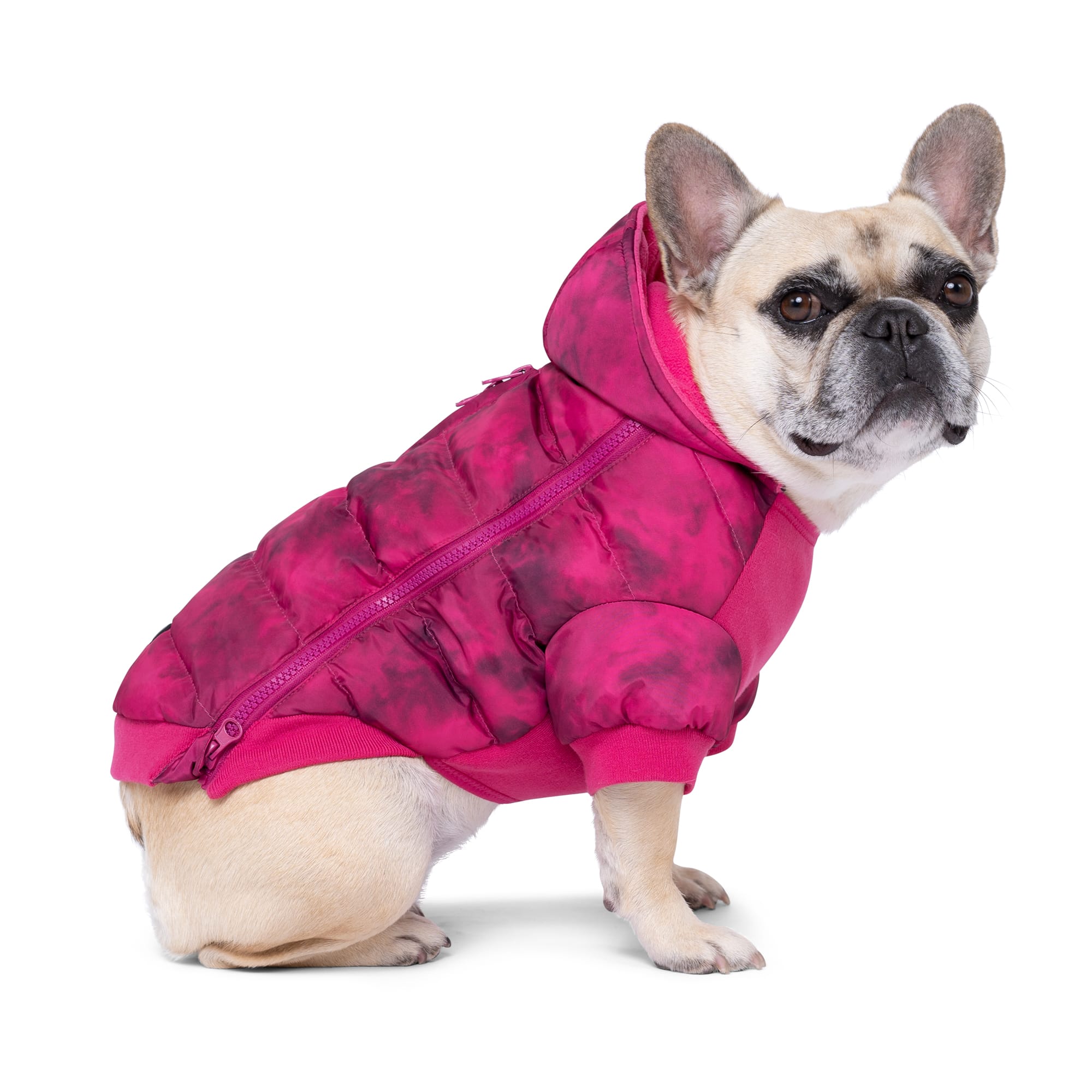 CANADA POOCH Prism Dog Puffer Magenta Size 28， 3X-Large