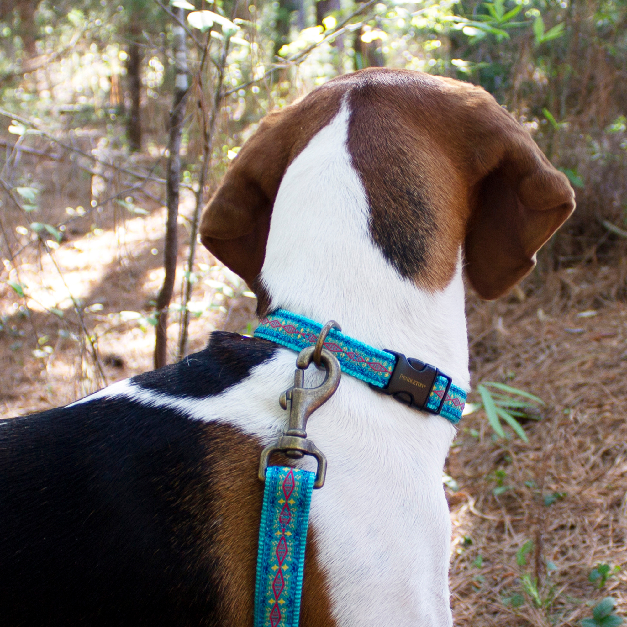 Pendleton Classics Collar | Diamond River Turquoise