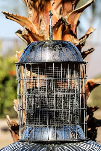 best squirrel proof bird feeder - heavy-duty repellent cage design by bird lovers!