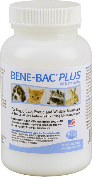 PetAg Bene-Bac Plus FOS and Probiotics Powder Supplement