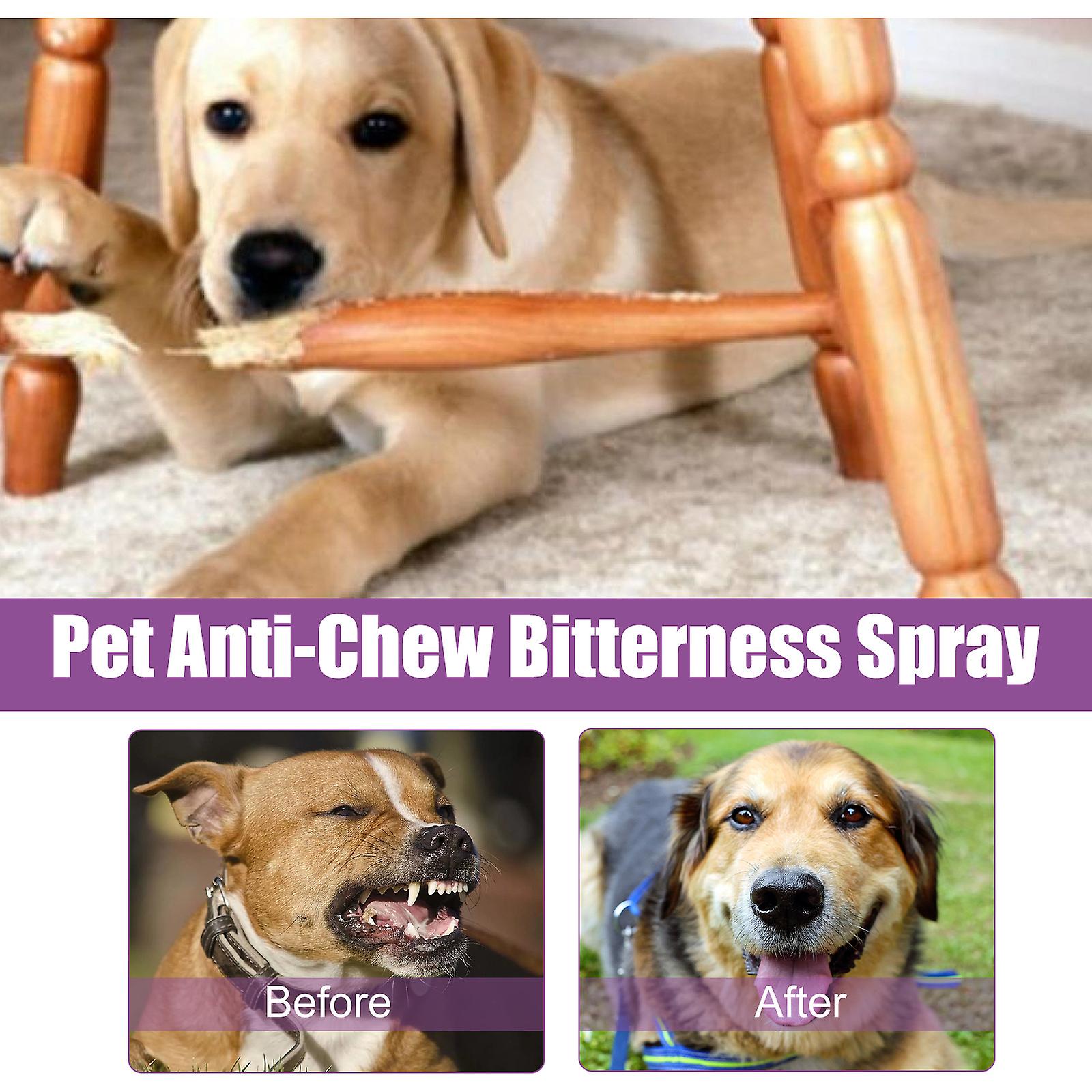 Pet Noise Reduction Spray Calm Pets Calm Emotions Prevent Stress Reduce Pet Noise Spray