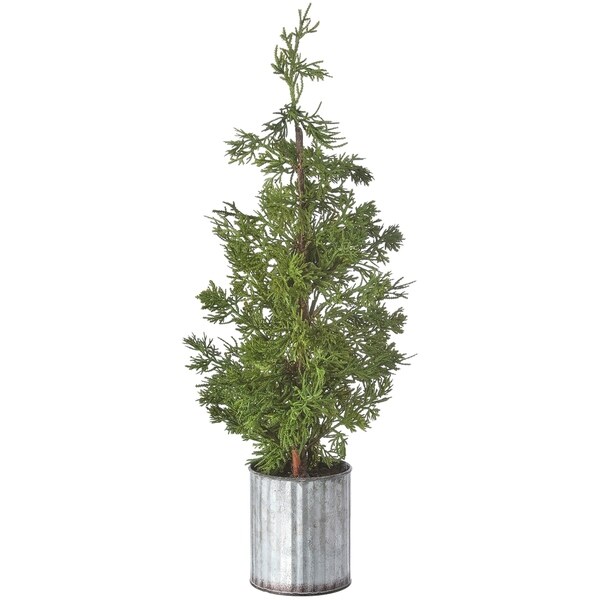 Mini Cedar Tree in Galvanized Pot 26