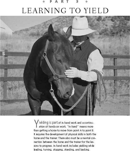 101 Ground Training Exercises for Every Horse and Handler