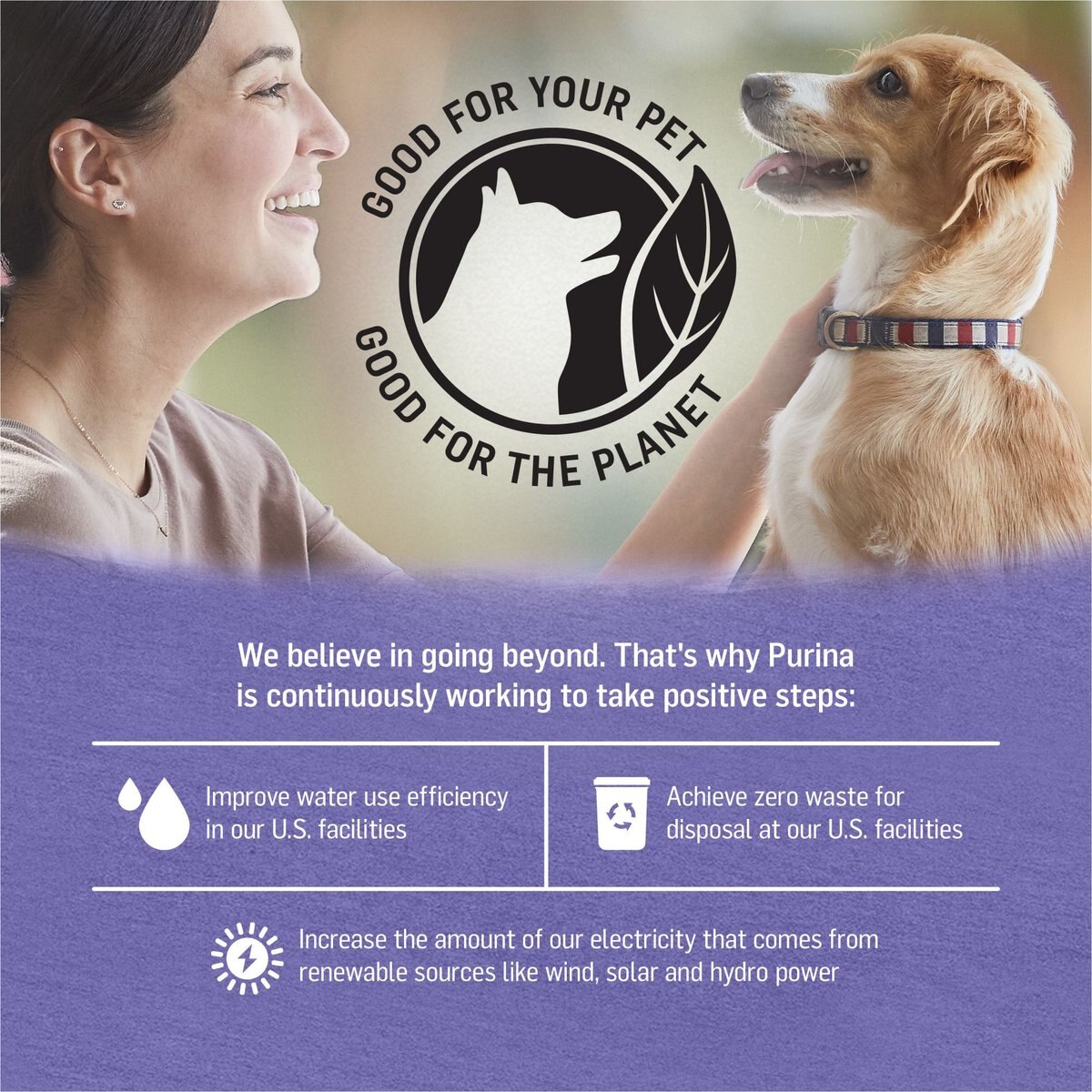 Purina Beyond Grain-Free Turkey and Sweet Potato Recipe Ground Entree Canned Dog Food