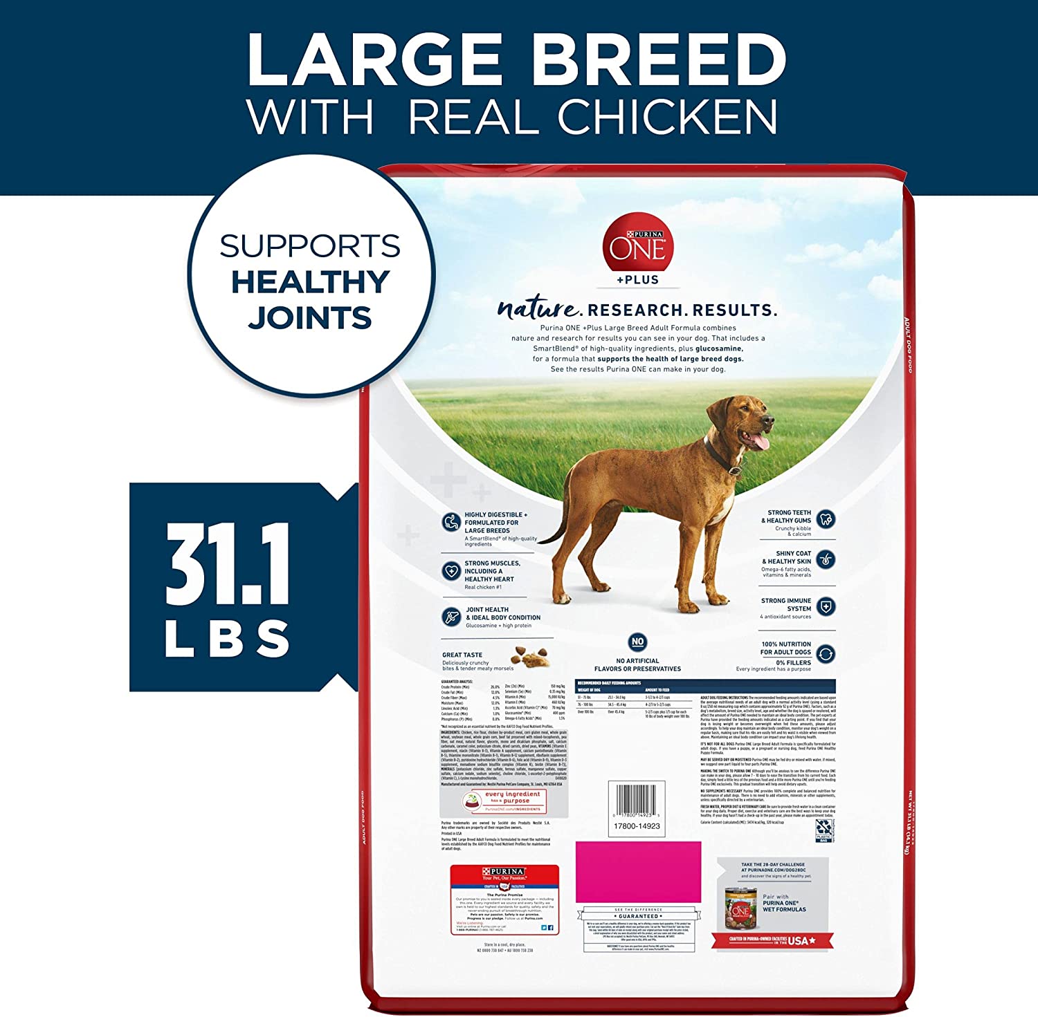 Purina ONE Natural Large Breed Adult Dry Dog Food， +Plus Formula - 31.1 lb. Bag