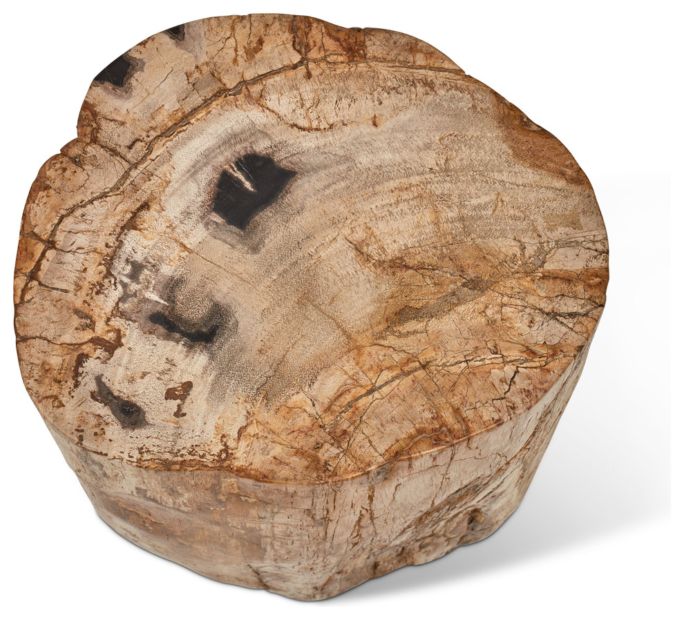 Relique Petrified Wood Stump  Fully Polished  Natural Dark   Rustic   Side Tables And End Tables   by Urbia  Houzz